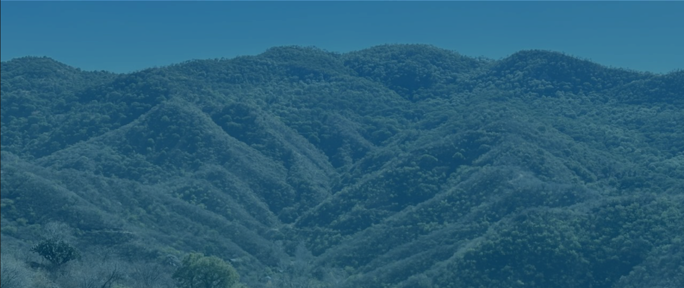 View from valley